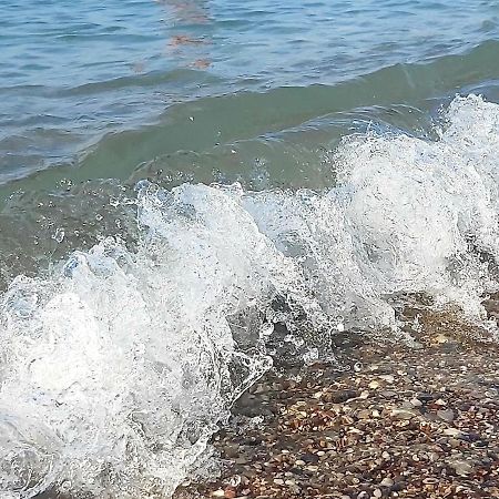 Suncani Apartman 1-Vila Amfora Budva Luaran gambar